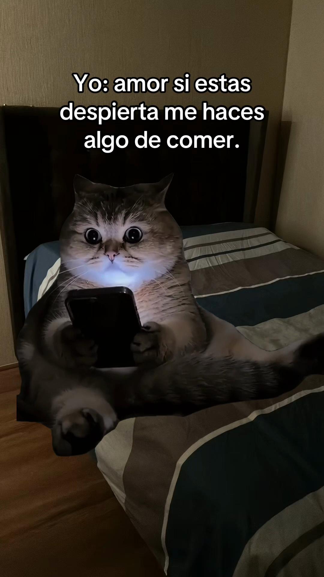 @jansonmania