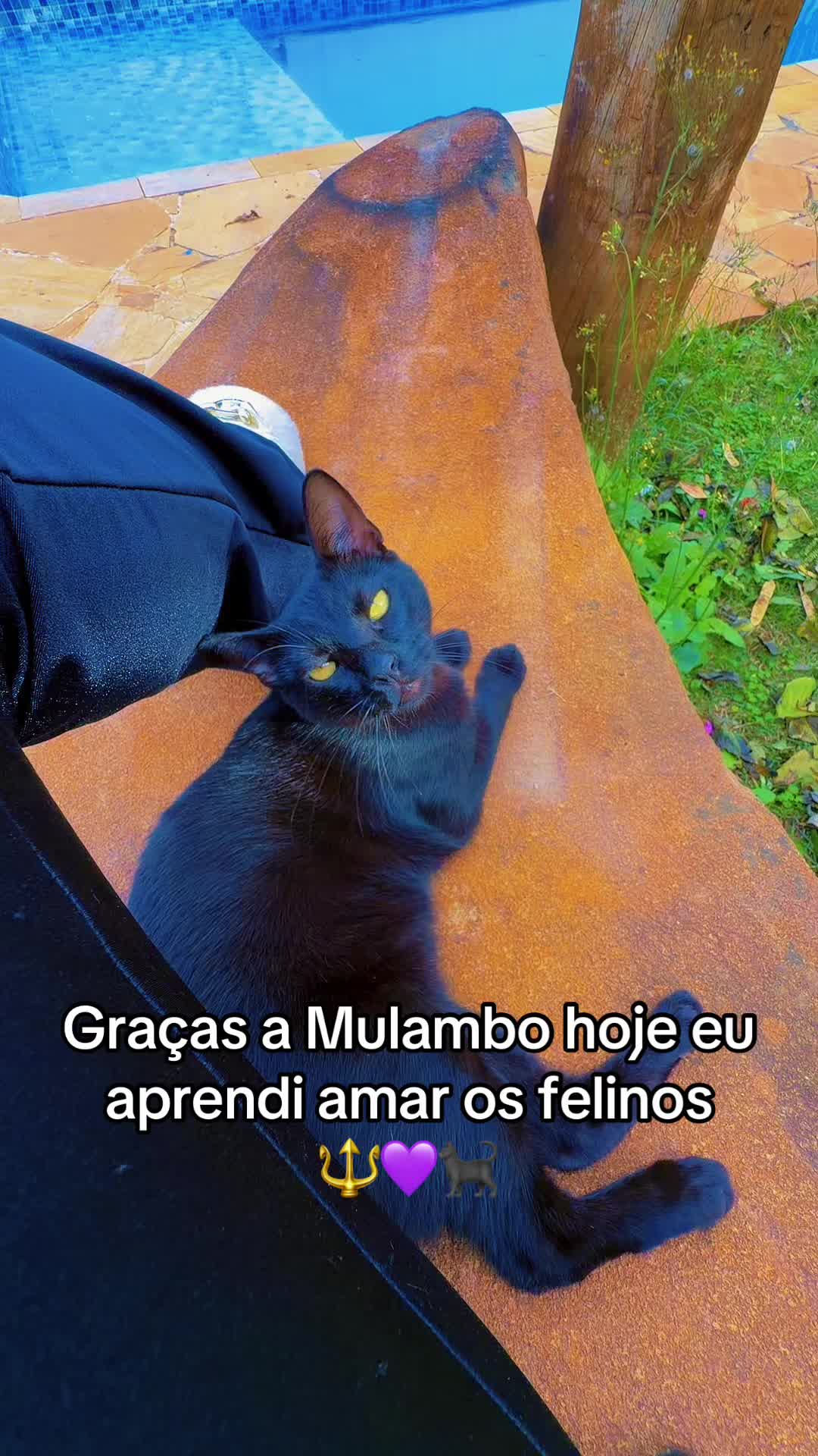 @Segredos de Mulambo