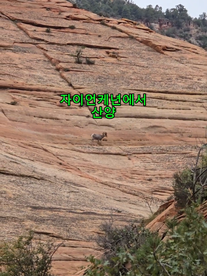 @미국서부여행 백이랑가이드