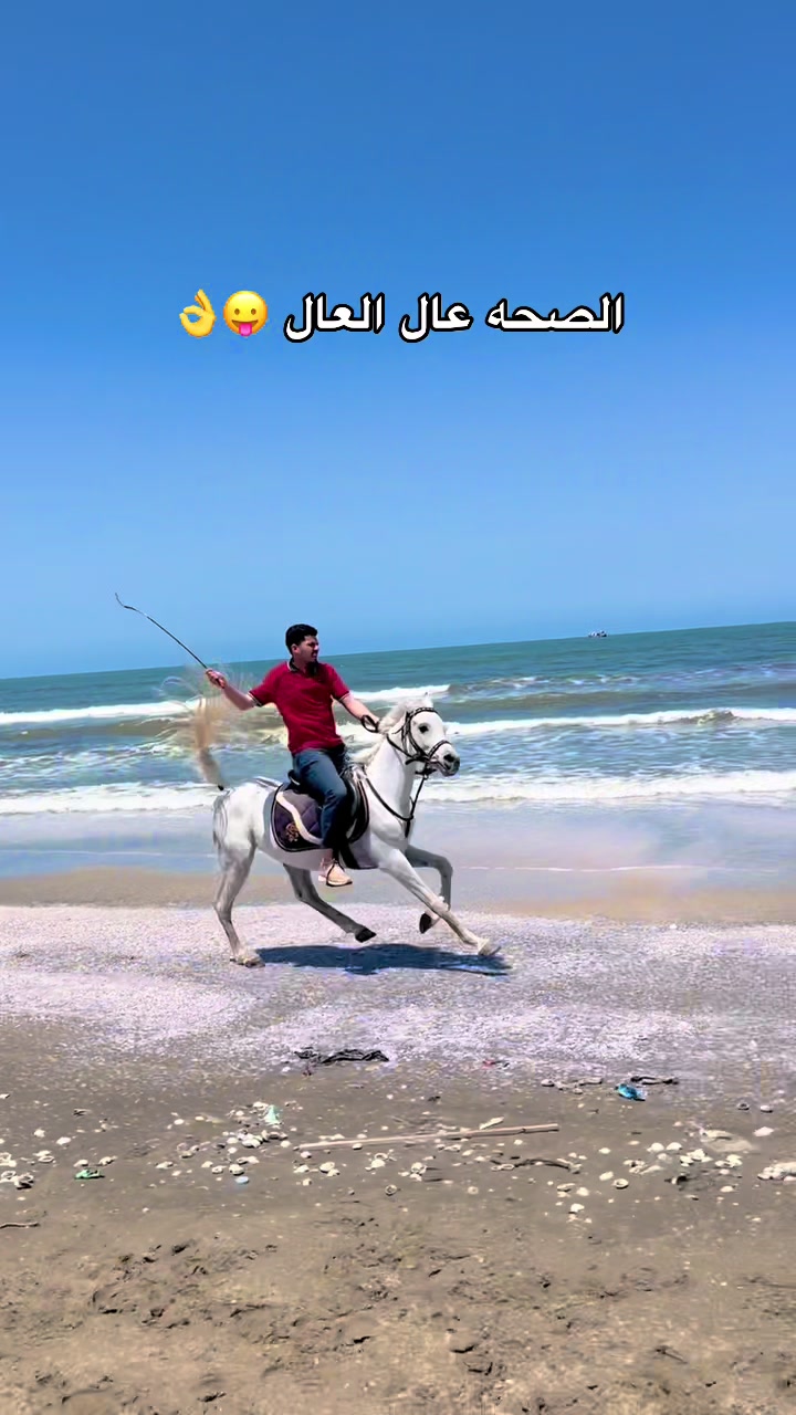 @Mahmoud awadin