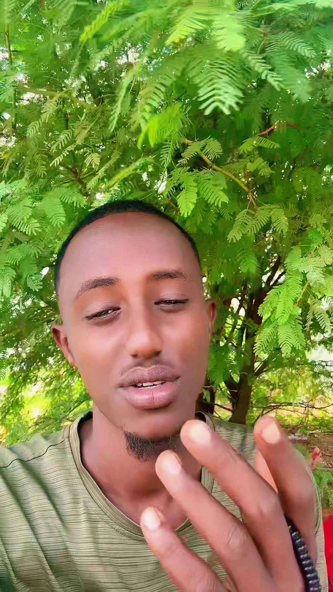 @Ibrahim Osman✪