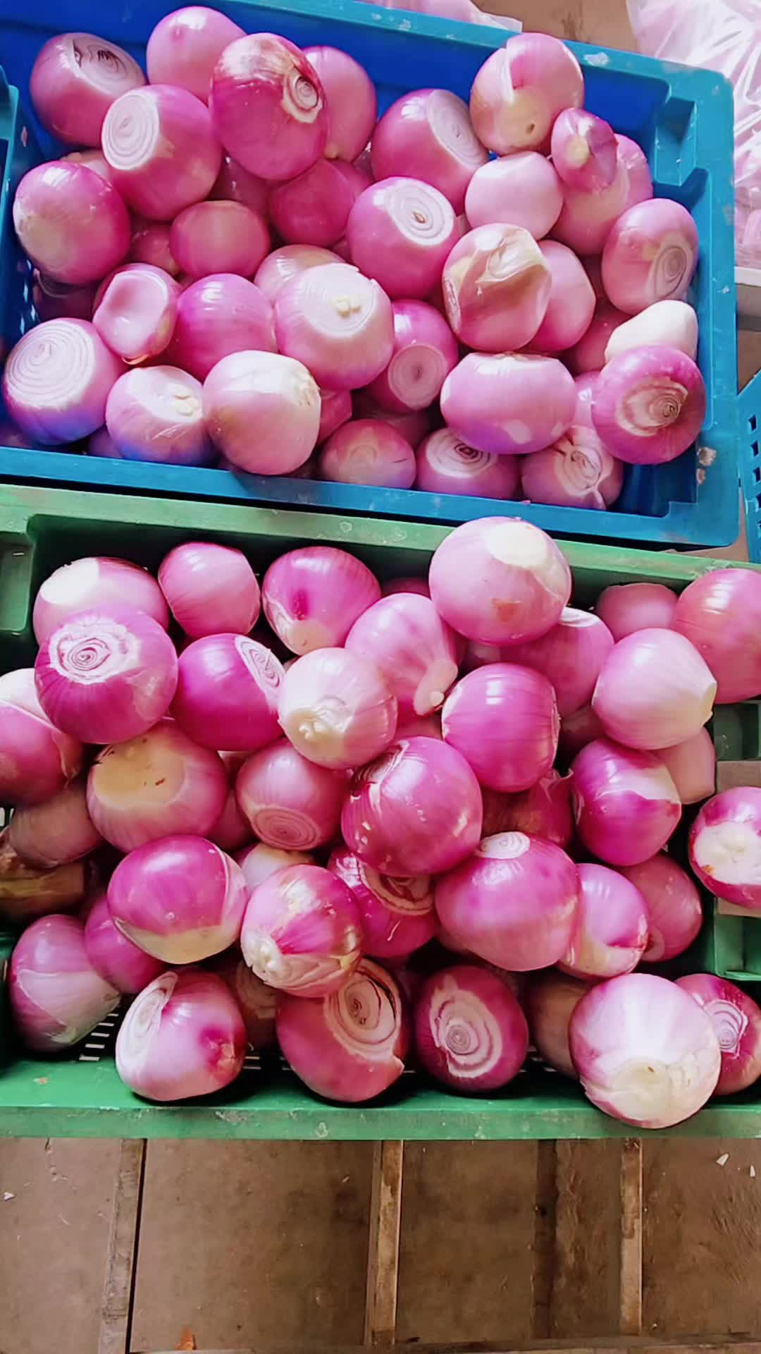@AAlaM Exporting