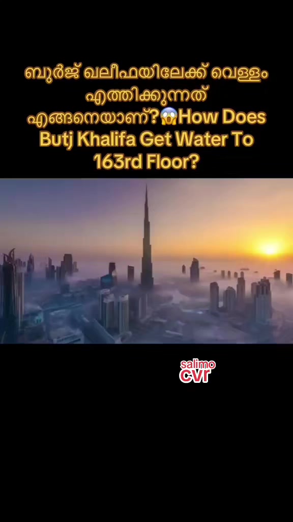 @salimo789