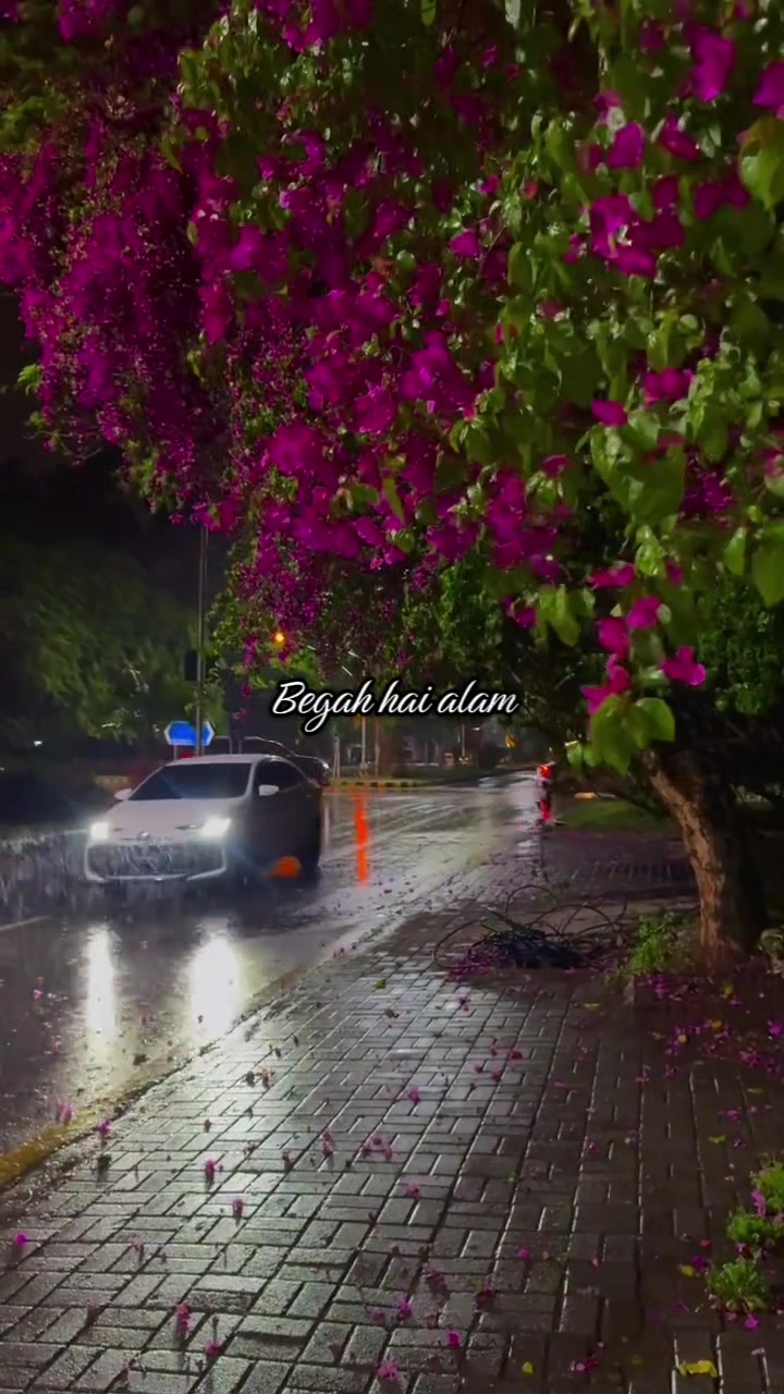 @ROSE