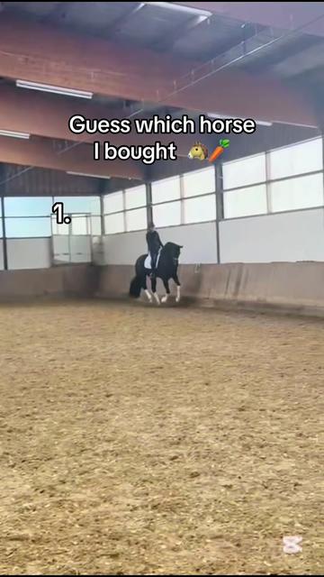 @lea.cavaliere
