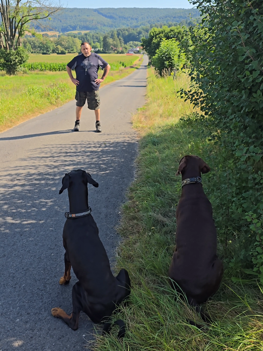 @dobermanndeutschland