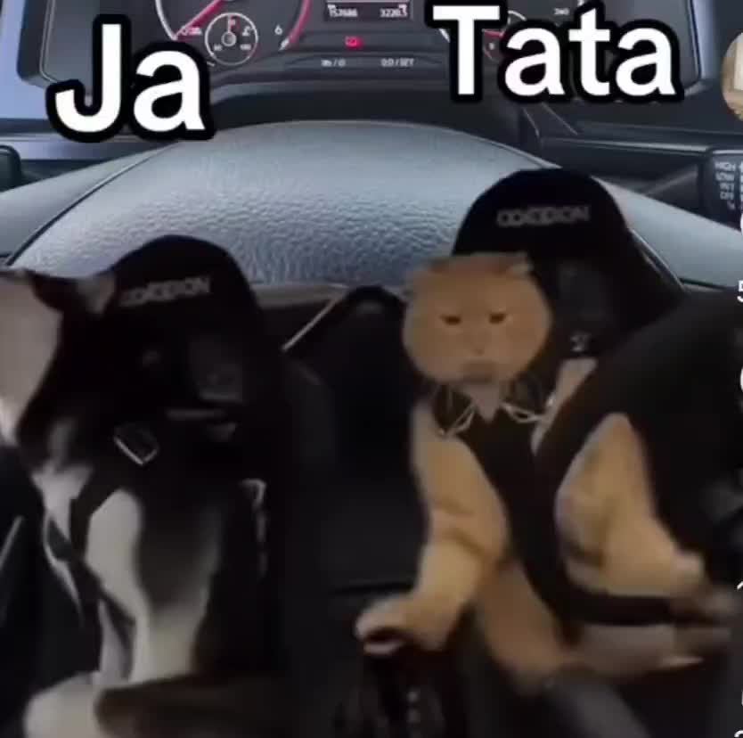 @🧅A
