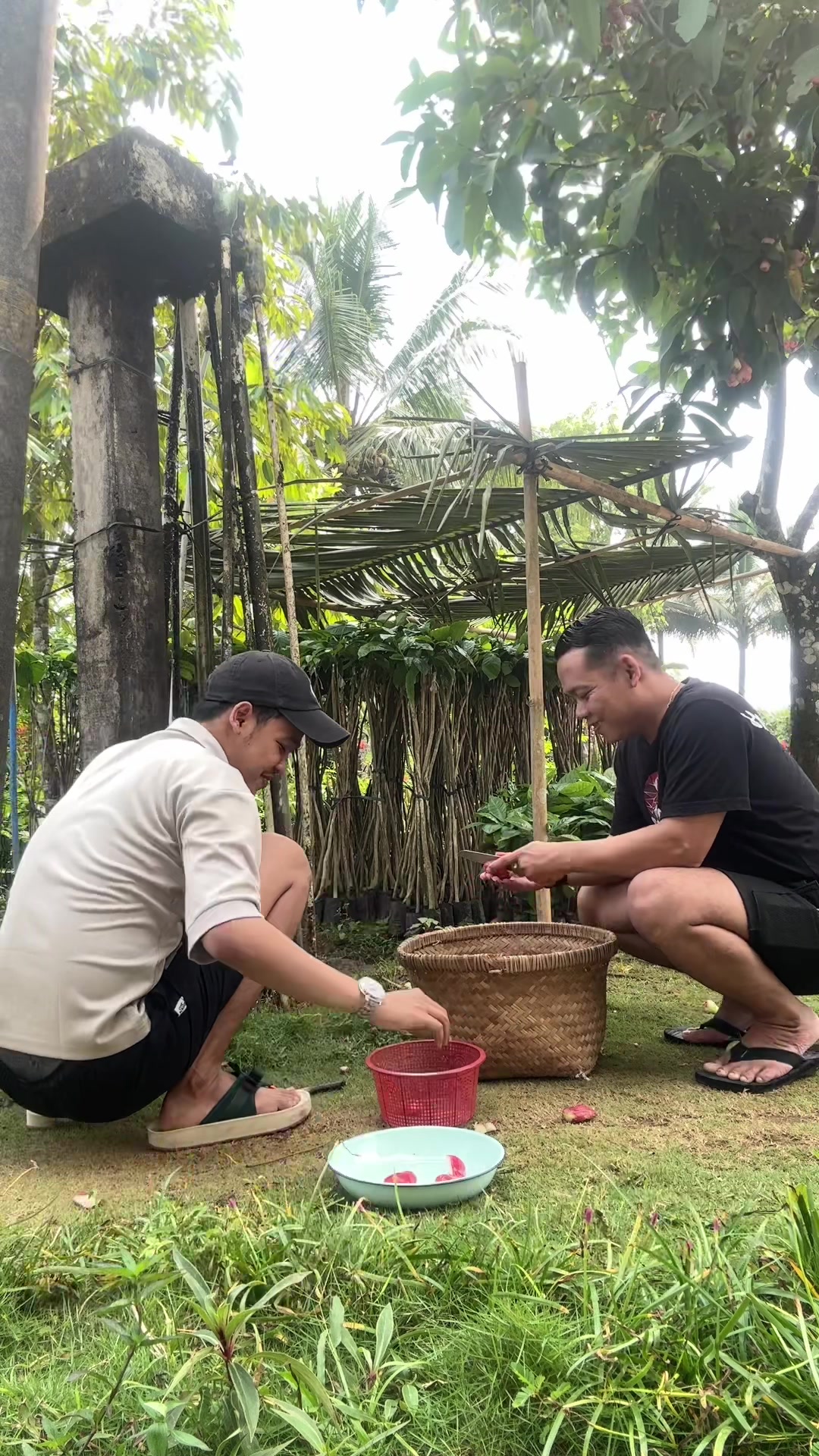 @Mbak Sari || Cucuk Lampah