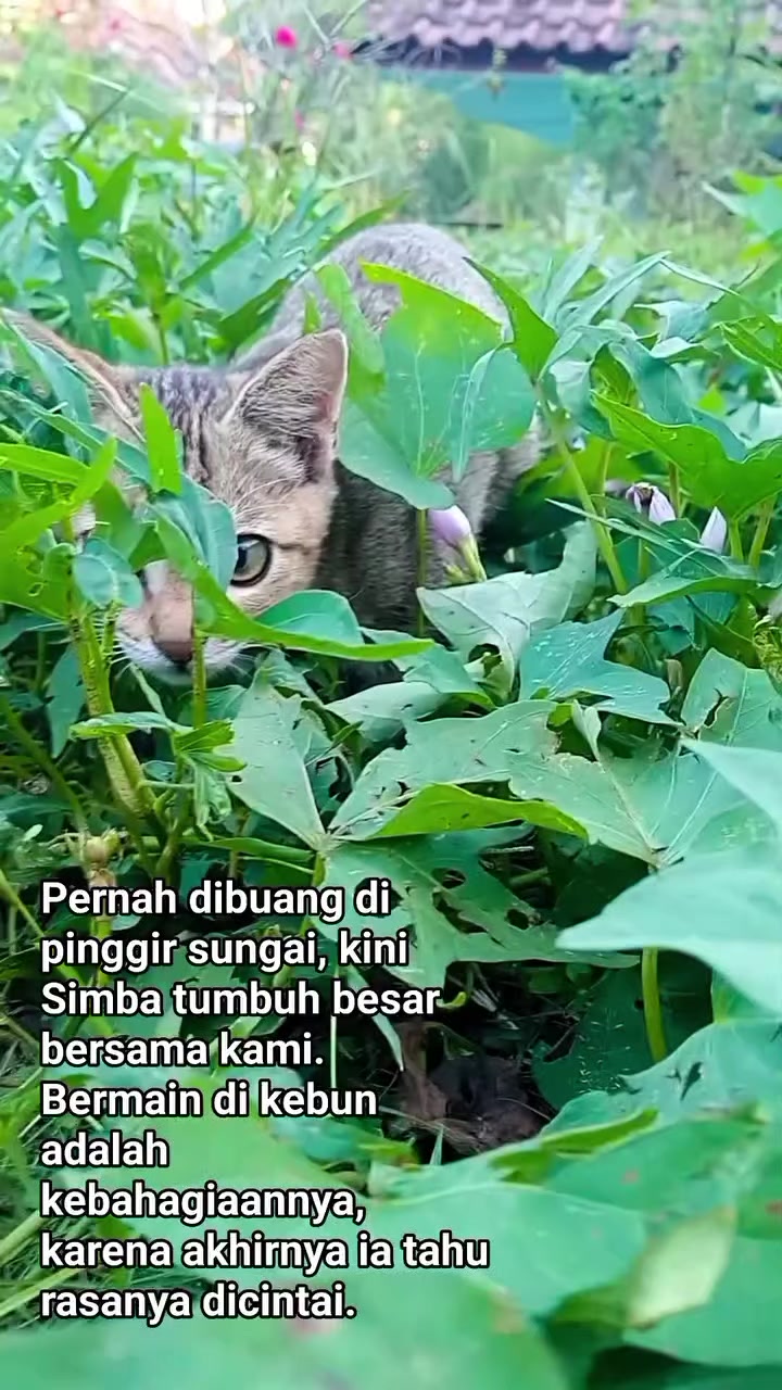 @Lina herlina
