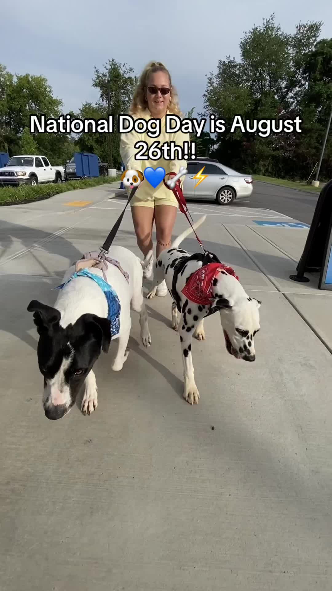 @mallory.renae
