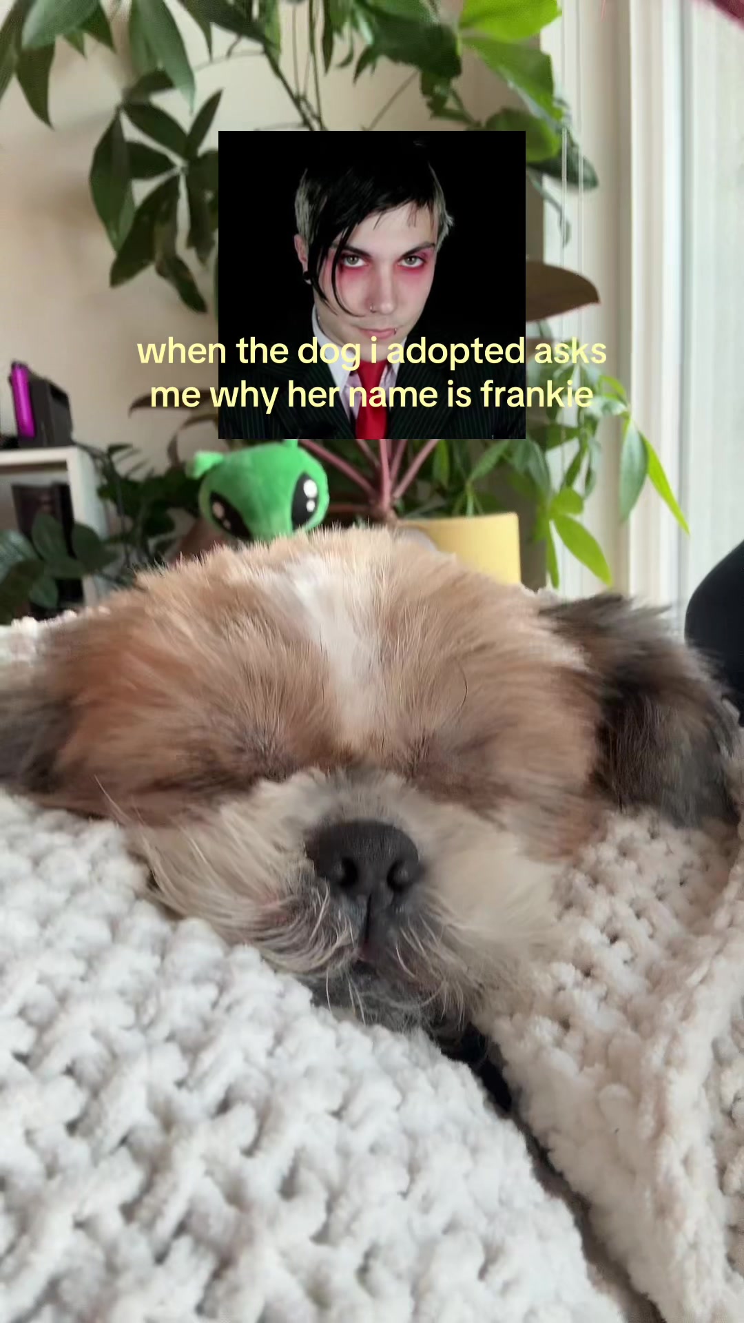 @spineglue