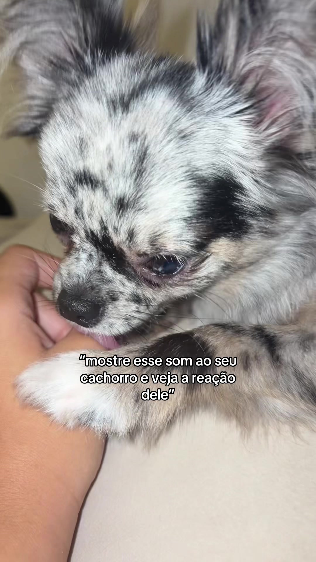 @🪩✨sofia🧿✨