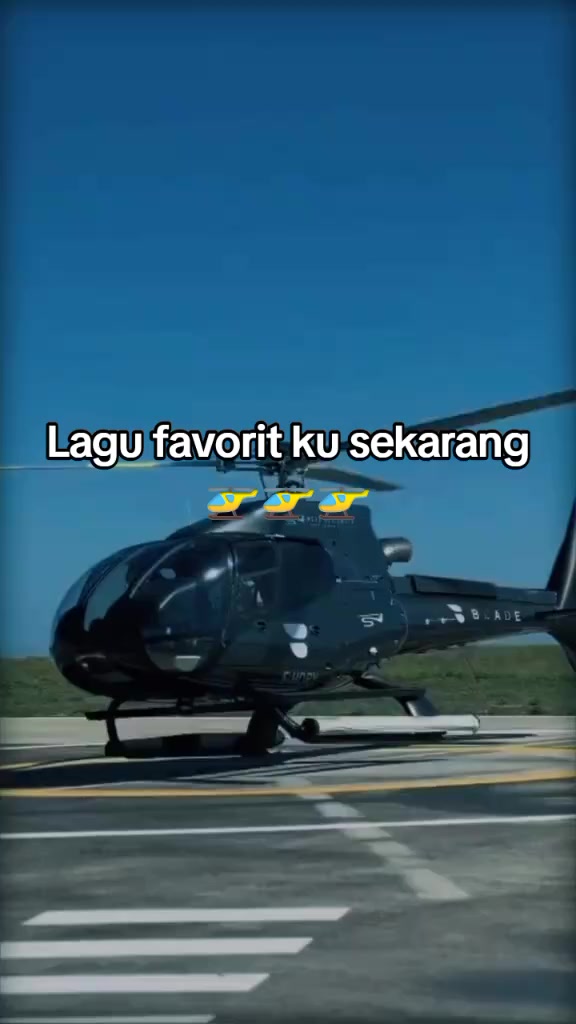 @lisa
