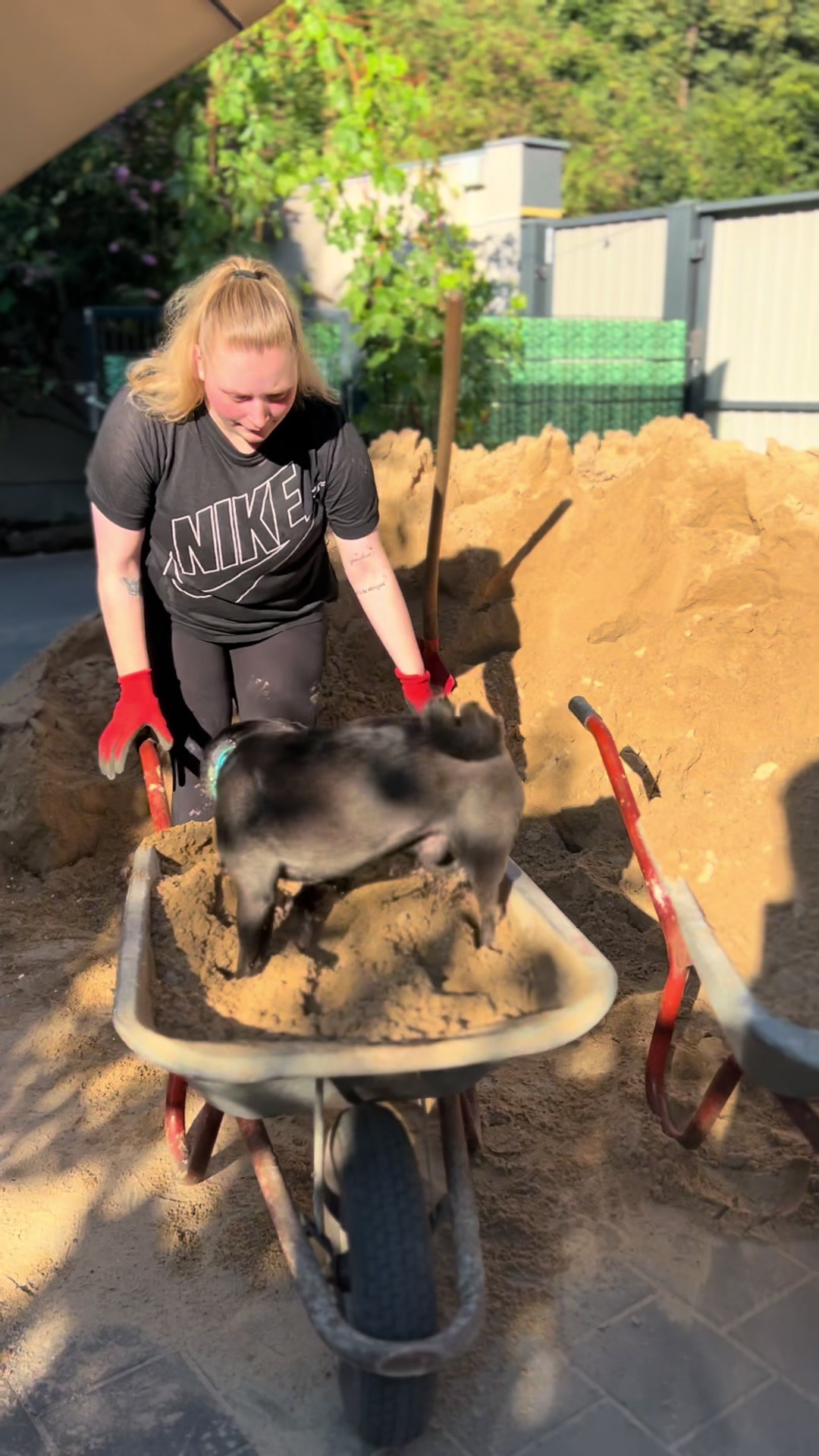 @Hunde- und Katzenpension