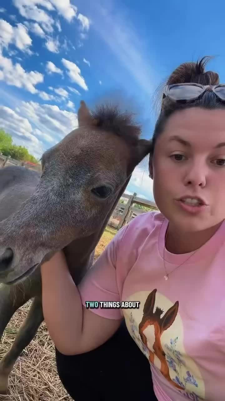 @horse 🐎