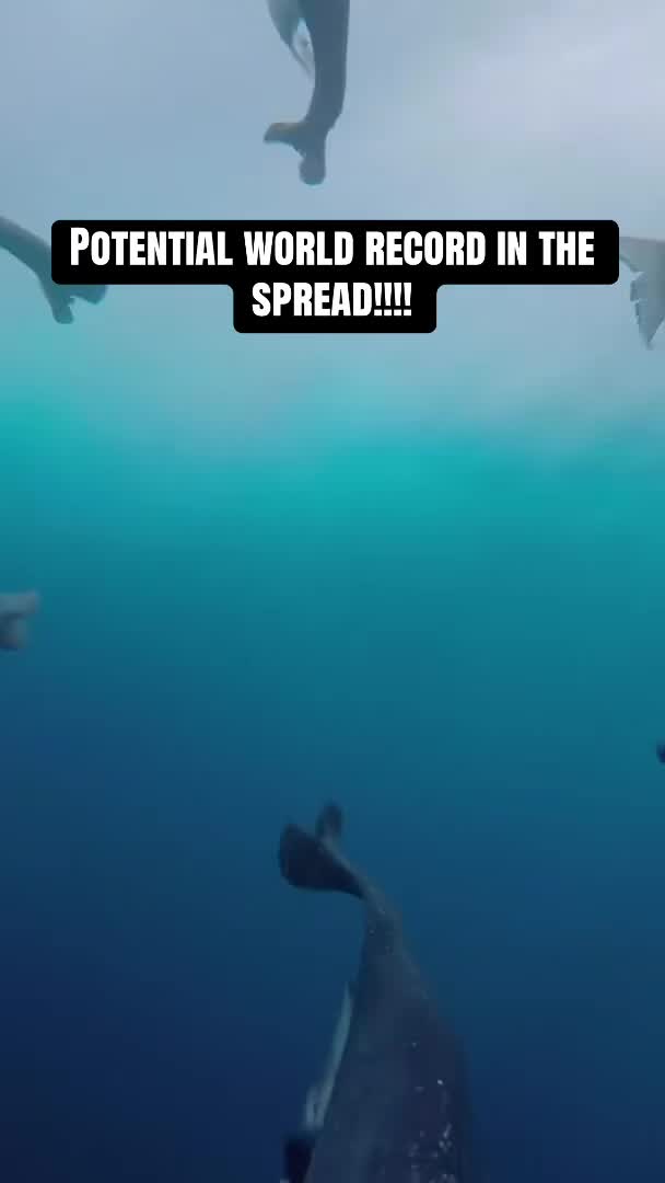 @daily.saltwater