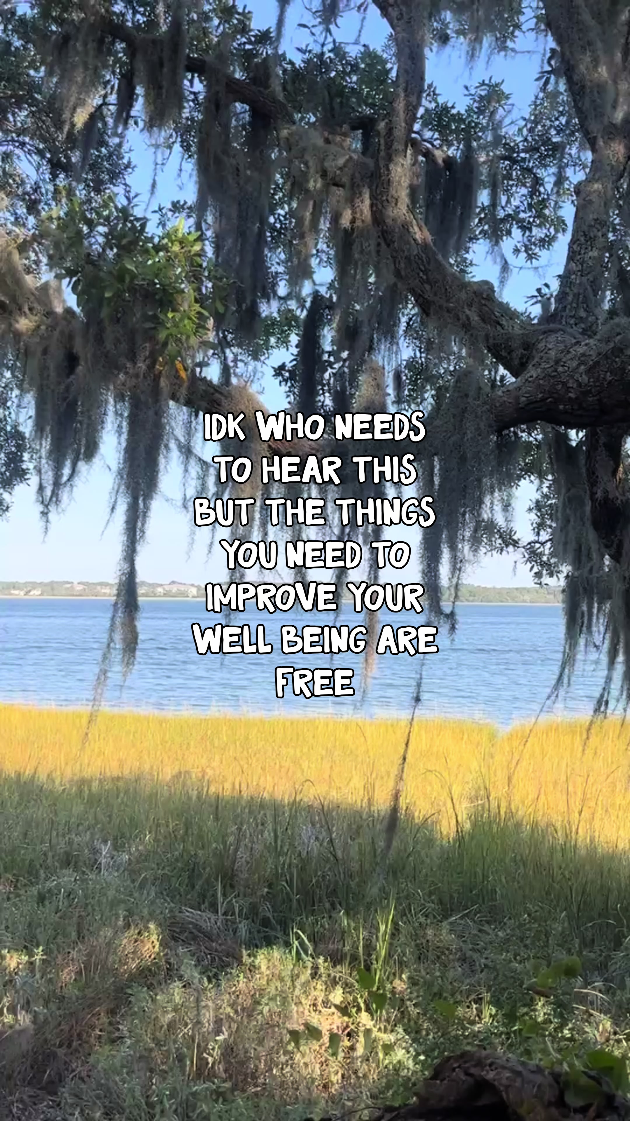 @South Carolina 7