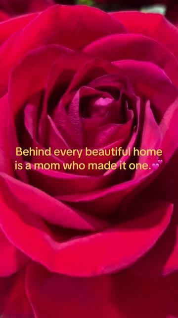 @Dolly Kaur Realtor