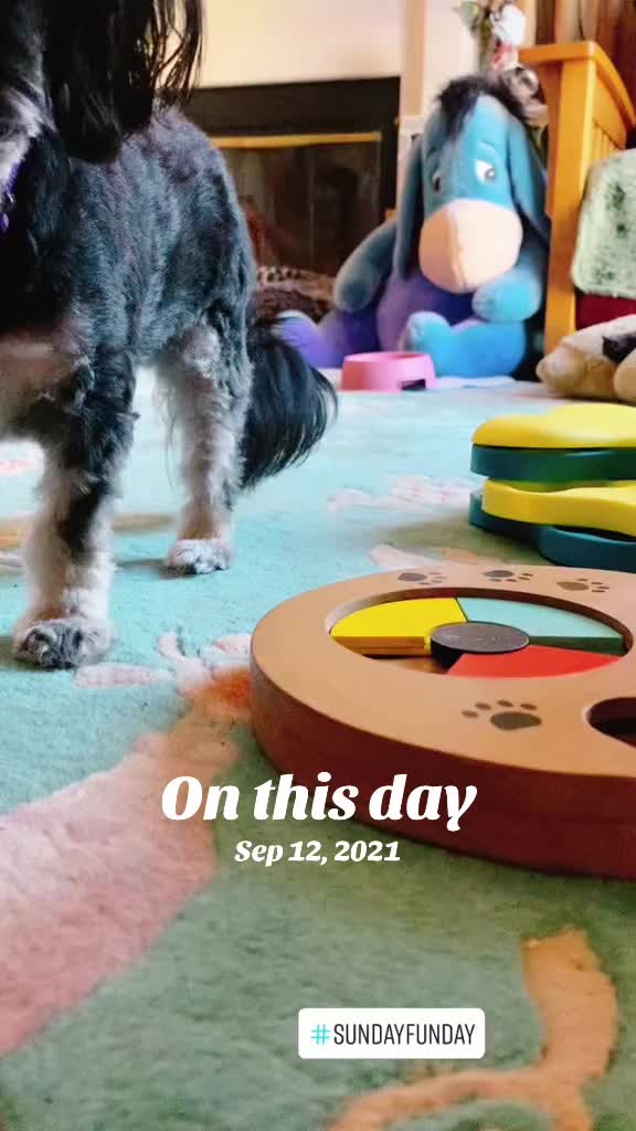 @Katrin - HappyPawsPantry