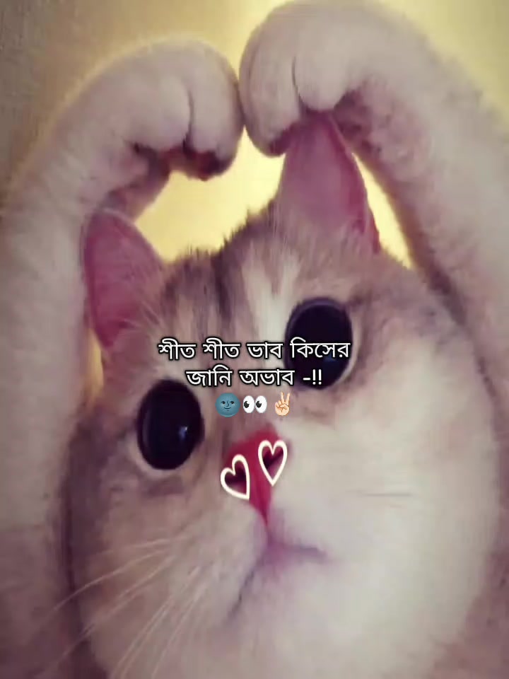 @⏤♡Ƒ&alpha;&eta;в&sigma;у_Ѕ&alpha;zz&alpha;&part;_⁉️💢