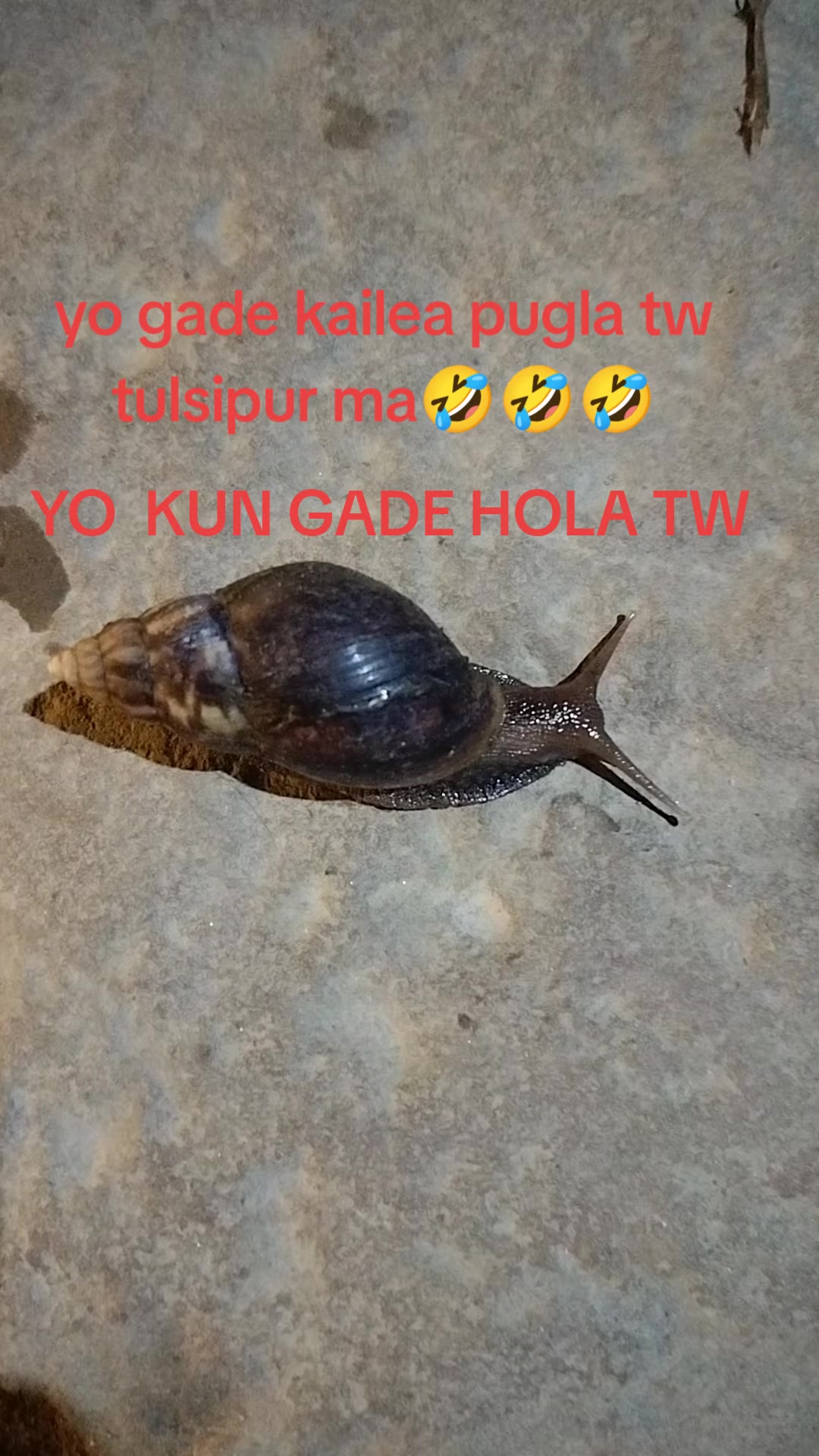 @Sahadev Kc137
