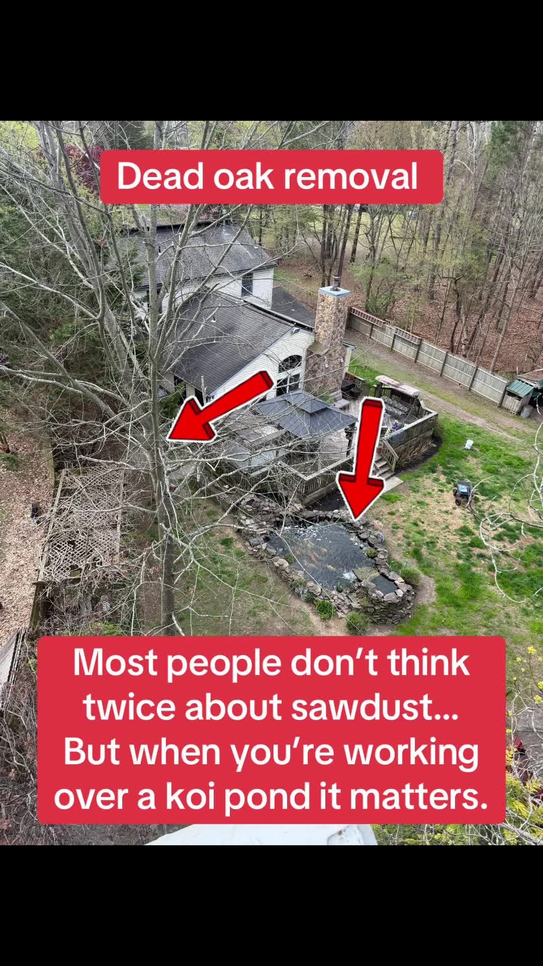 @Buzzsawtrees