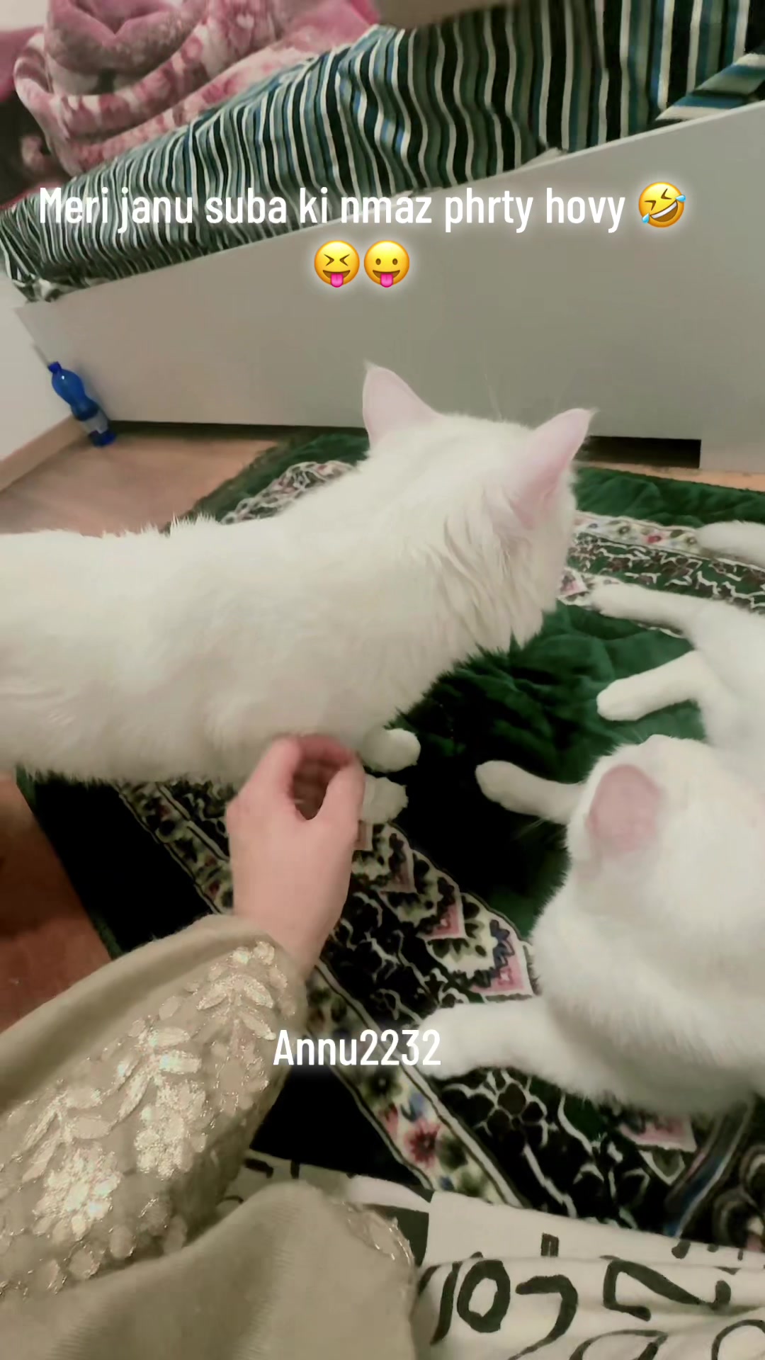 @annu_2232