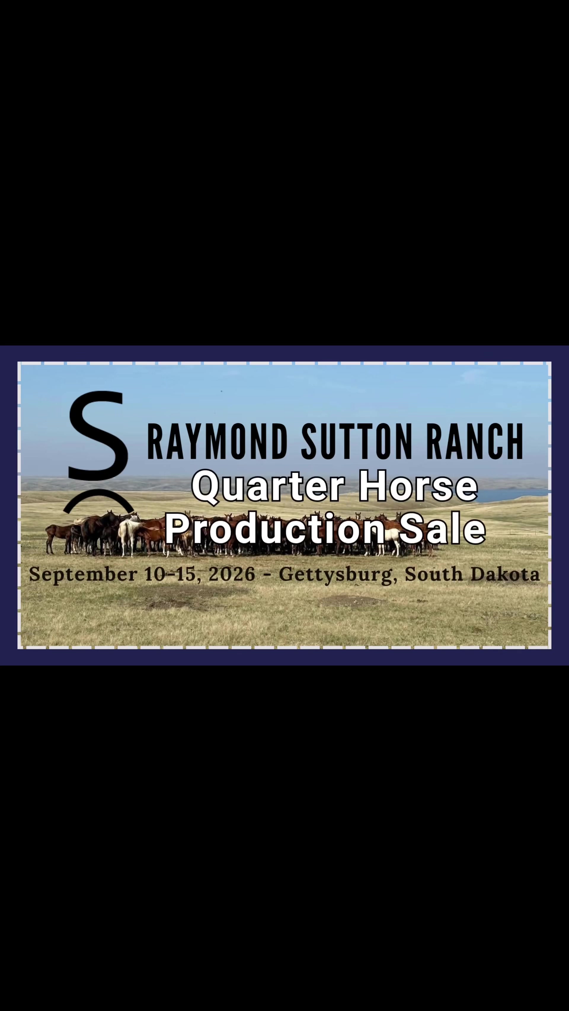 @HorseAuctionsUSA