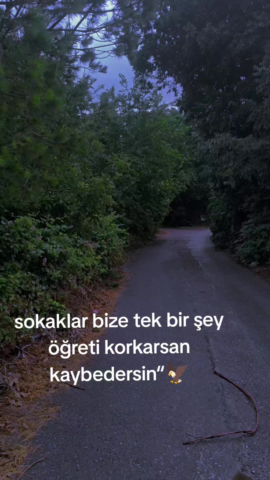 @🦅YUSUF@BİLEN🦅