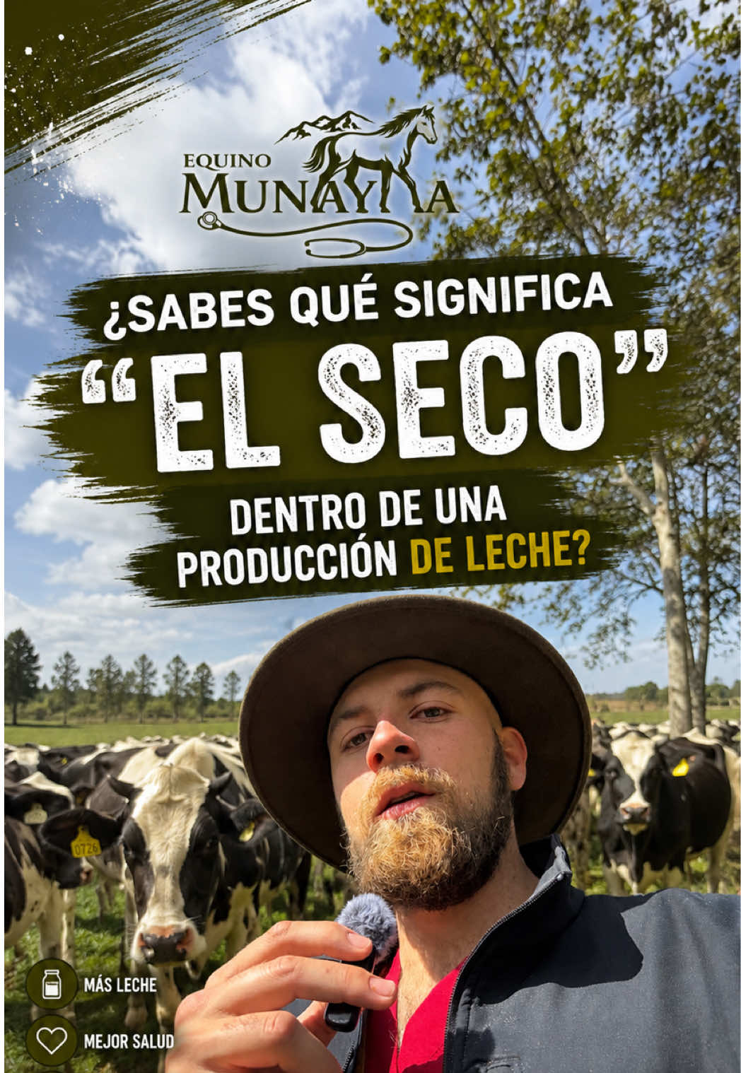 @Álvaro Meneses