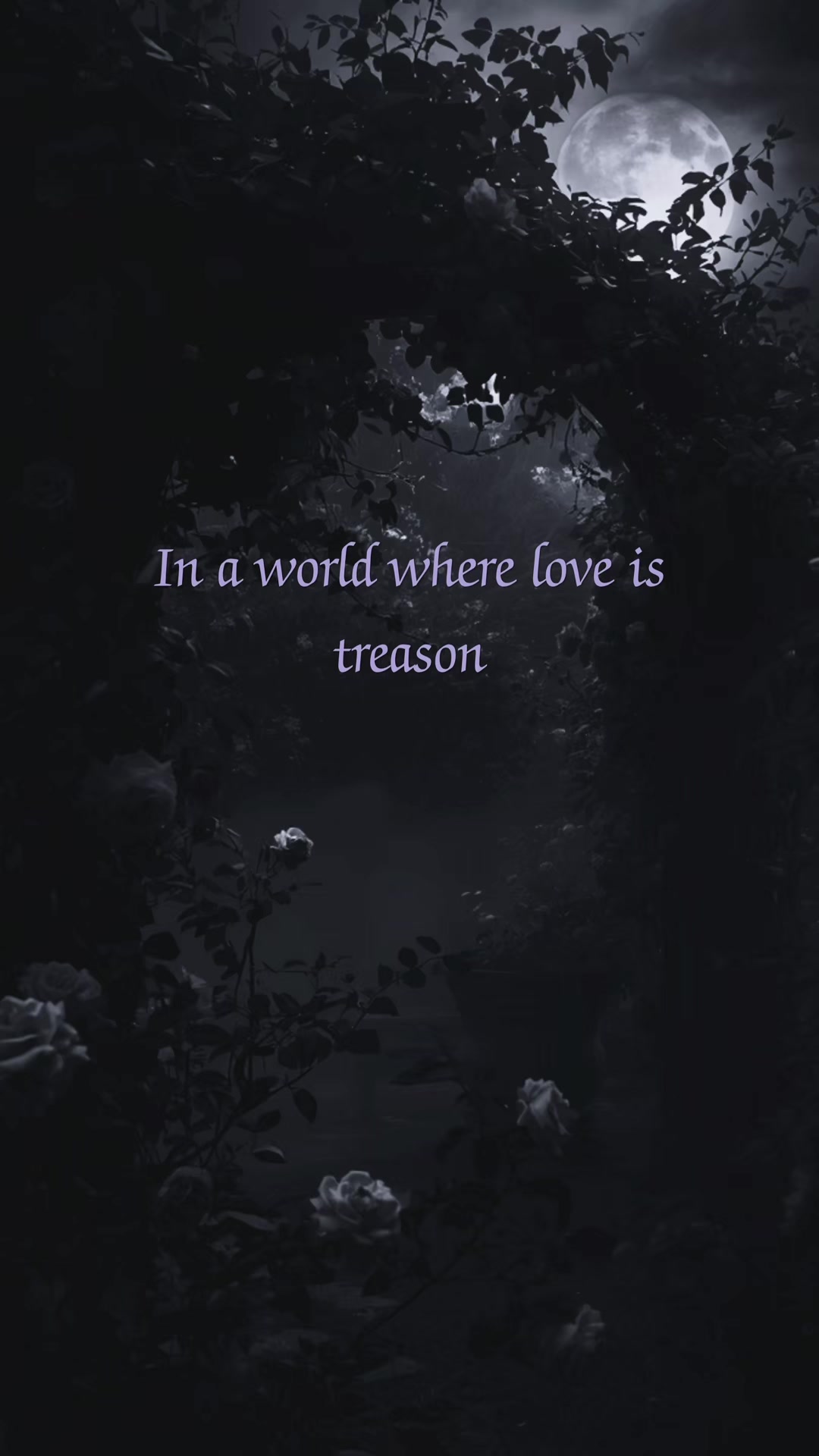 @📚🖤Melissa K. Morgan🖤📚