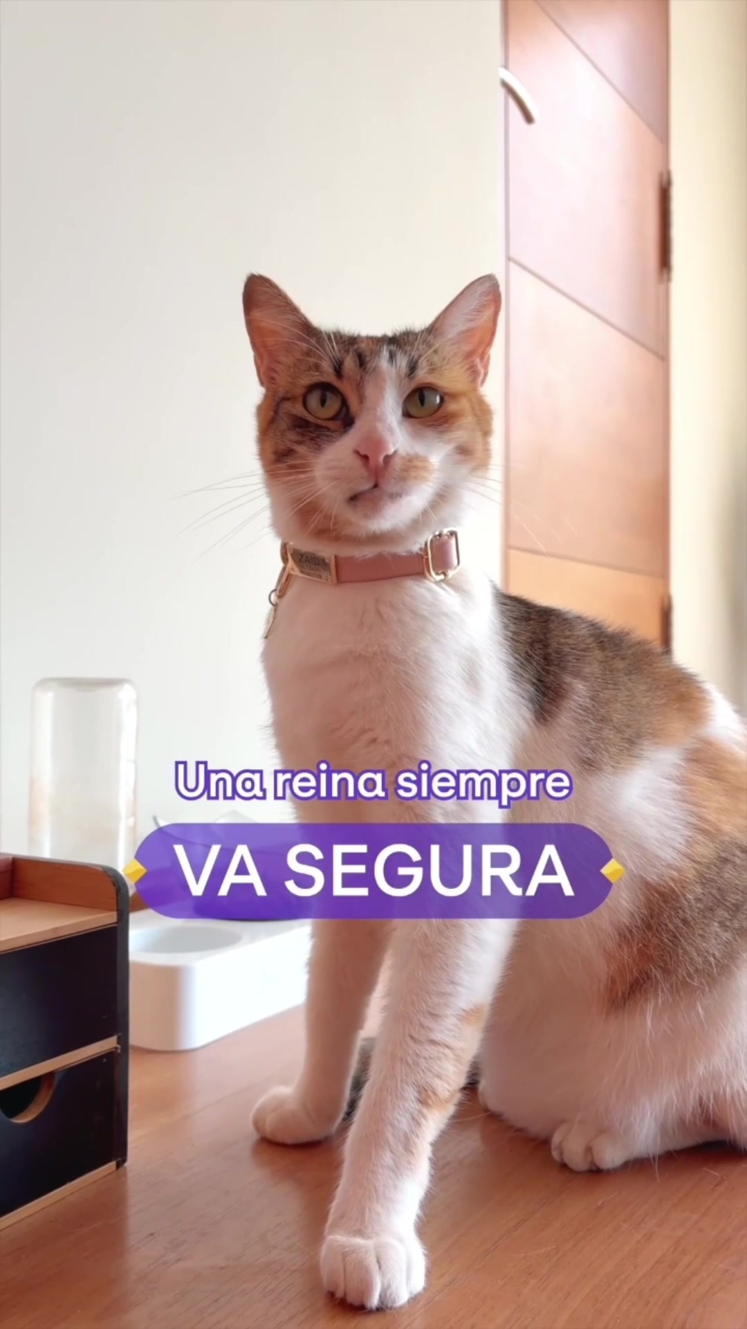 @Cabify Perú Oficial