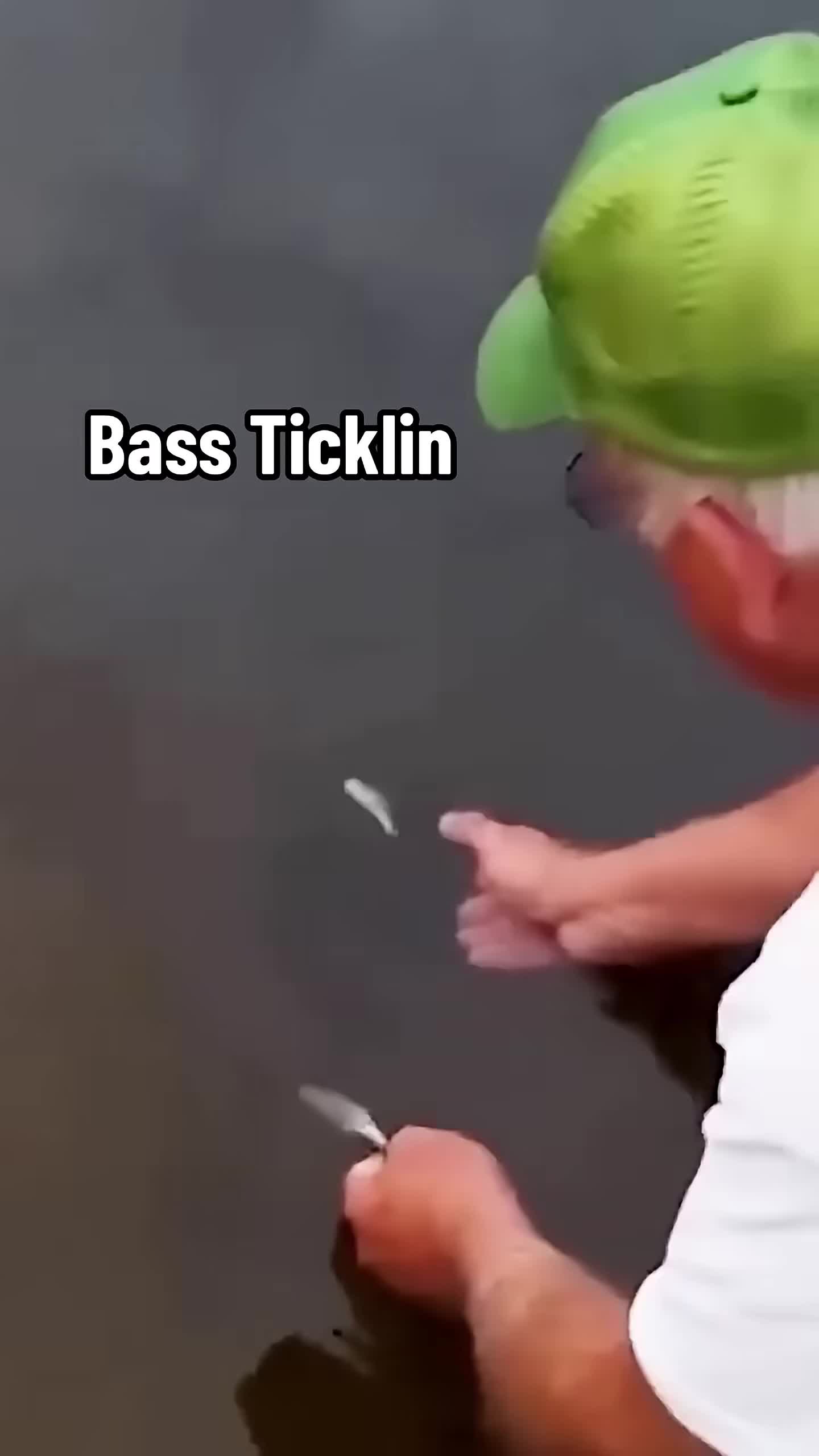 @Lunkerville