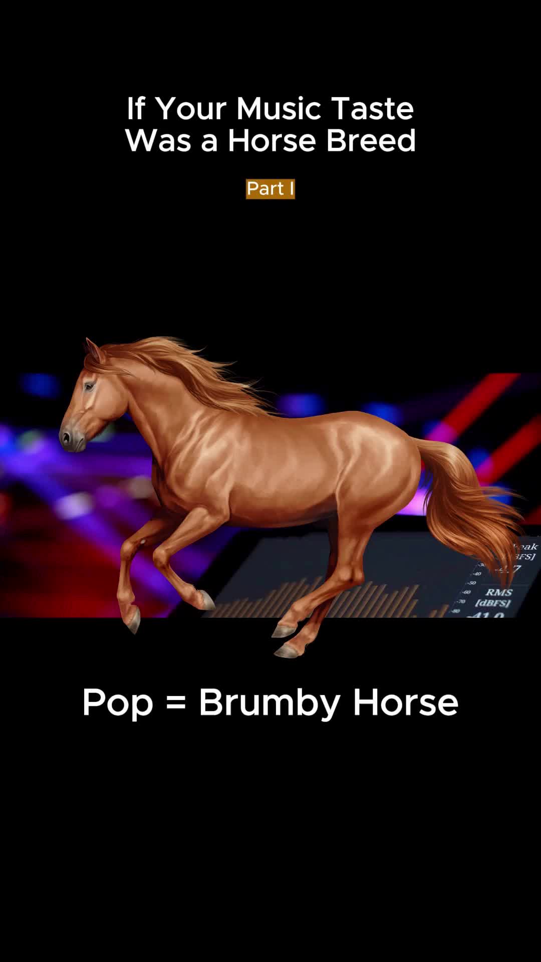 @Horse Reality