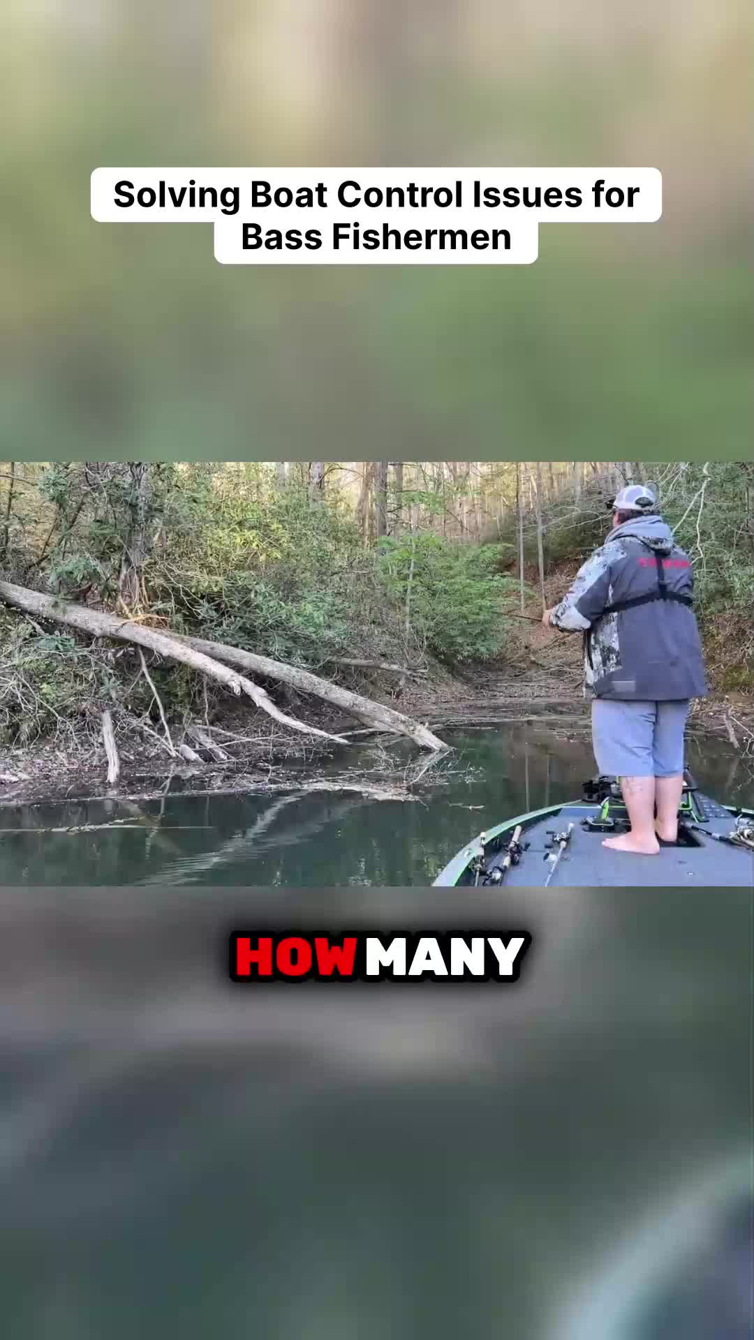 @bassgeek
