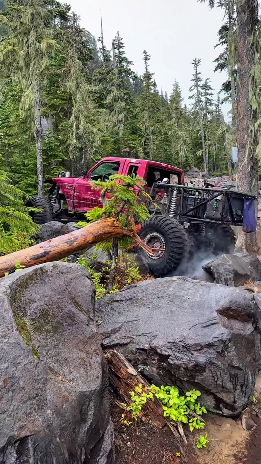 @Alaska Spring