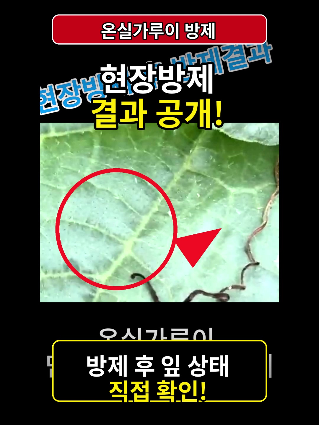 @농사는 장비빨