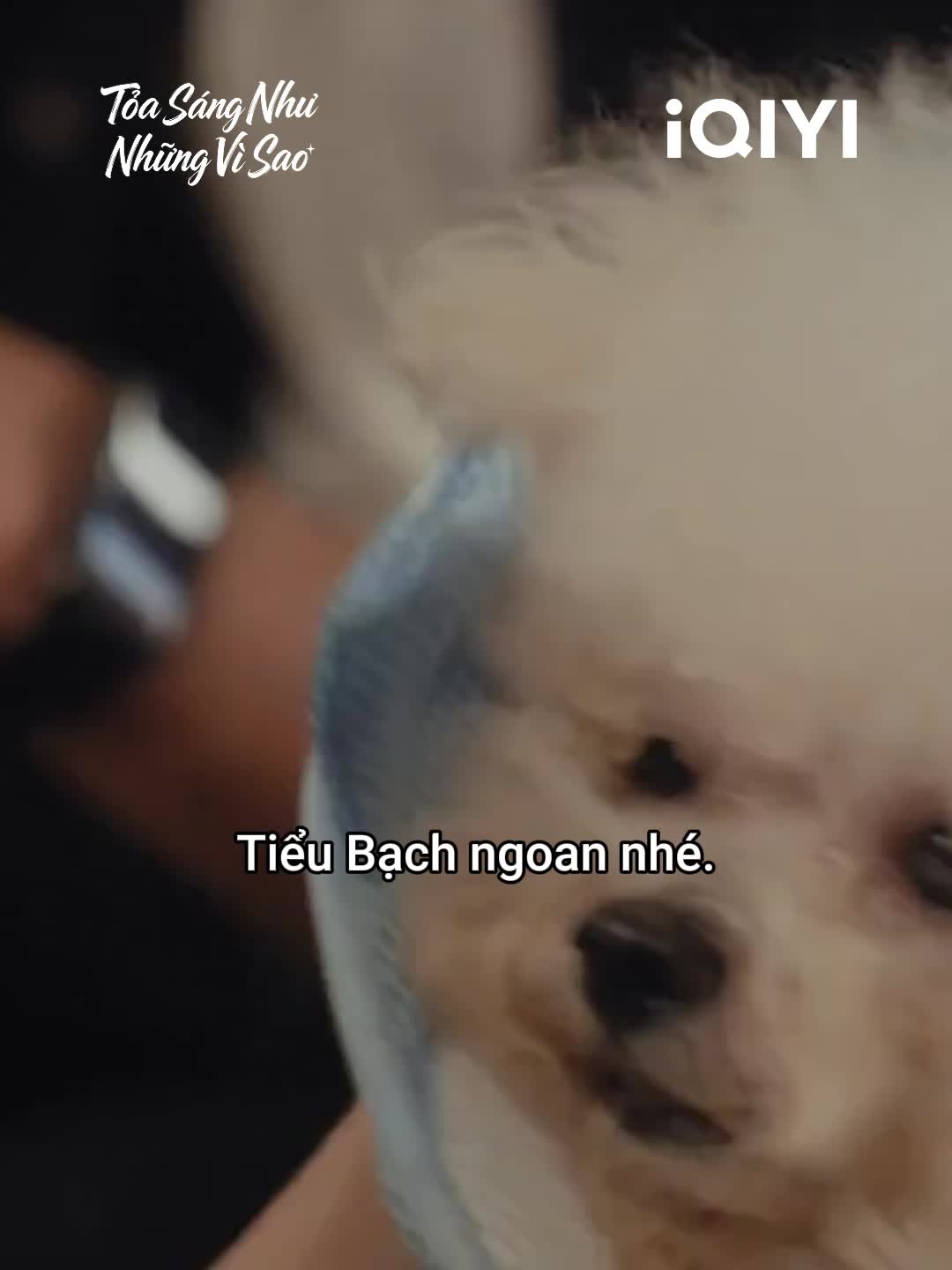 @iQIYI Vietnam