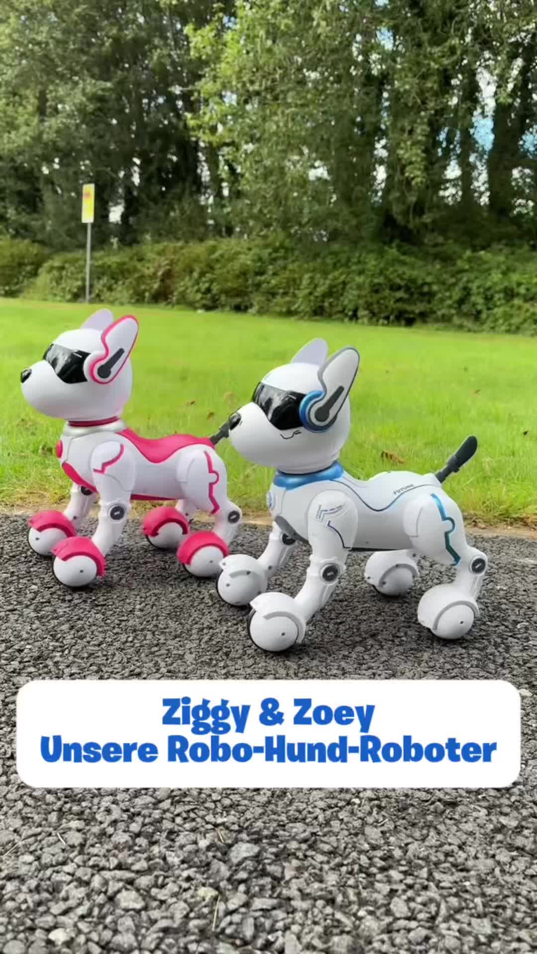 @Smyths Toys Superstores DACH