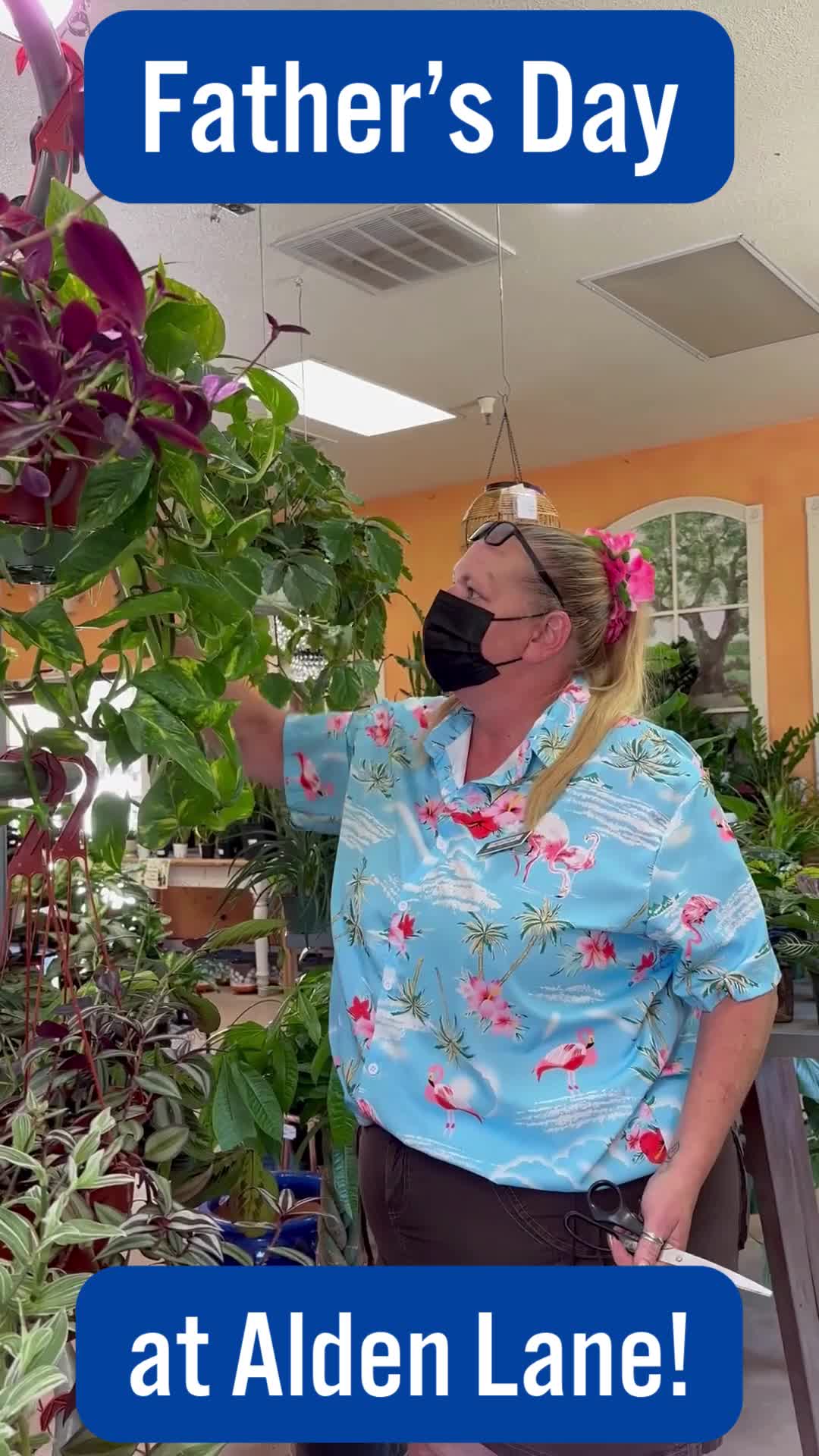 @Alden Lane Nursery