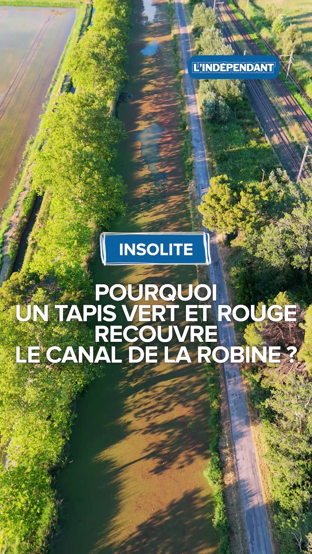 @L'Ind&eacute;pendant