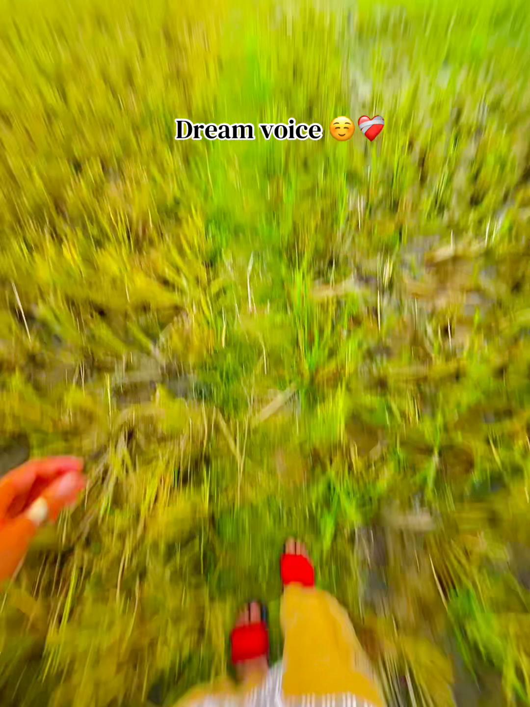 @ প্রকৃতি প্রেমিক সাইমন 🍃