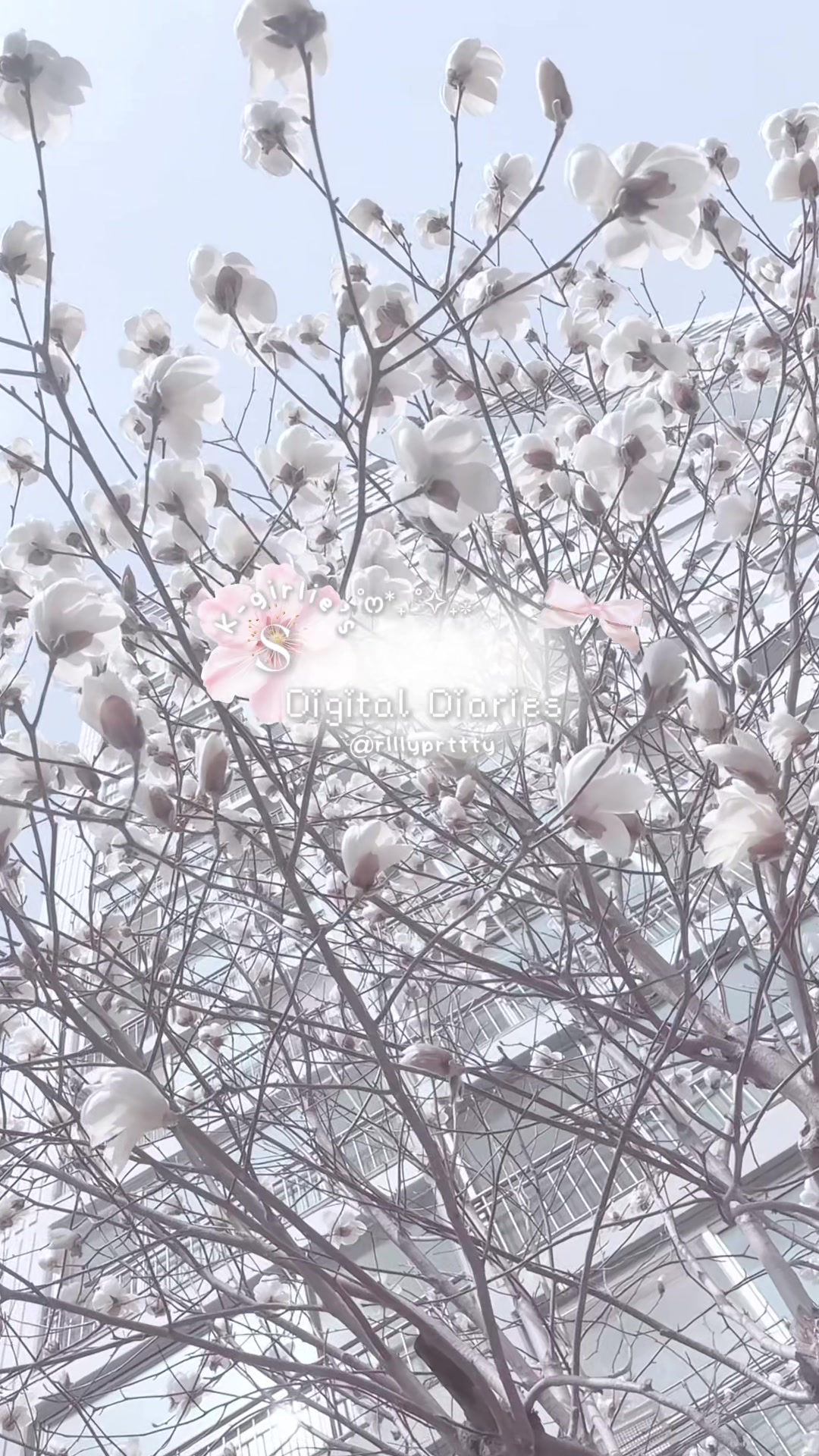 @Jina ୨୧₊˚⊹