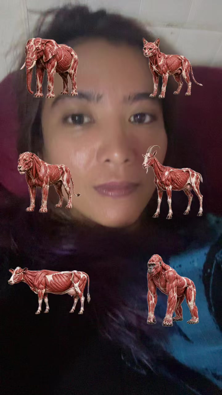 @sadgitarius ๐ซ๐ซ