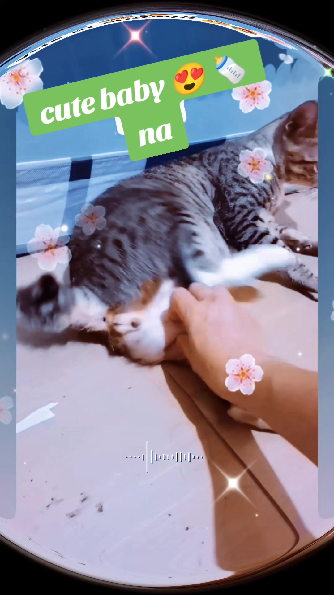@هذه