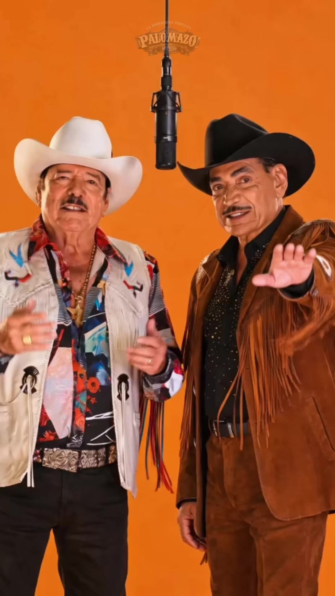 @Palomazo Norteño