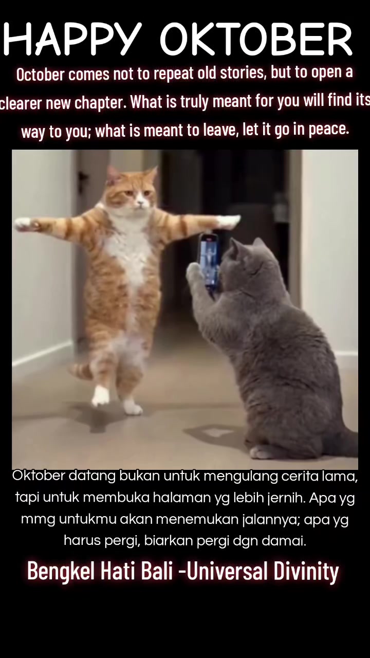 @Nik Taylor