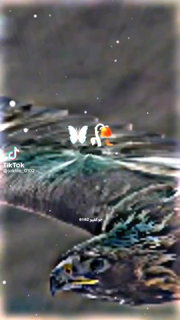 @khawar ali