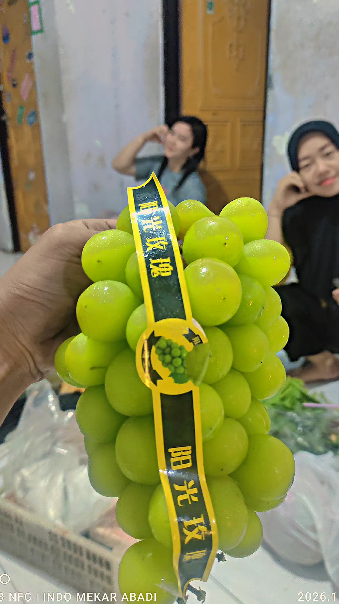 @supplier sayur dan buah sby