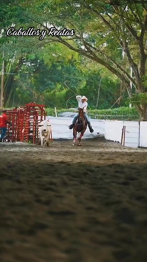 @Caballos y Reatas